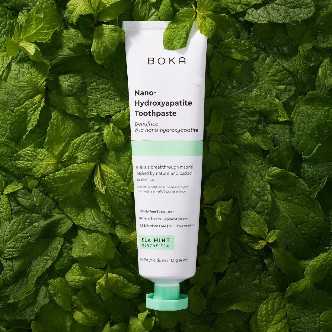 A tube of Ela Mint n-Ha Toothpaste rests on fresh mint, elevating your daily oral care.